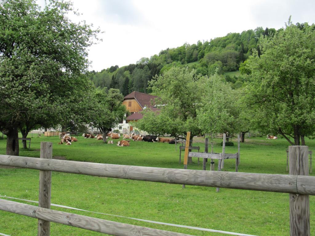 Donisbauerhof Apartamento Lieserbrücke Exterior foto